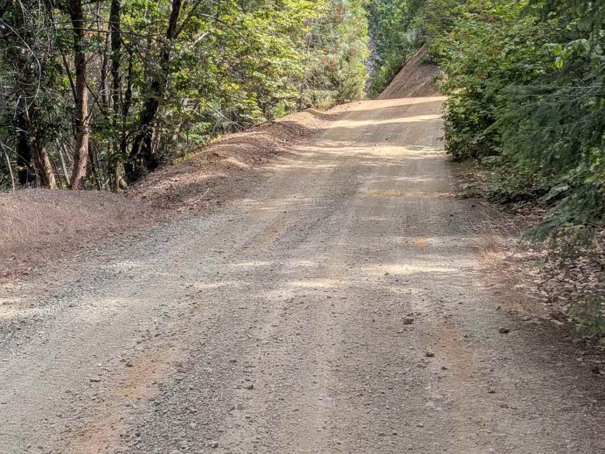Soldier Creek Road - FS 33N47  photo 6