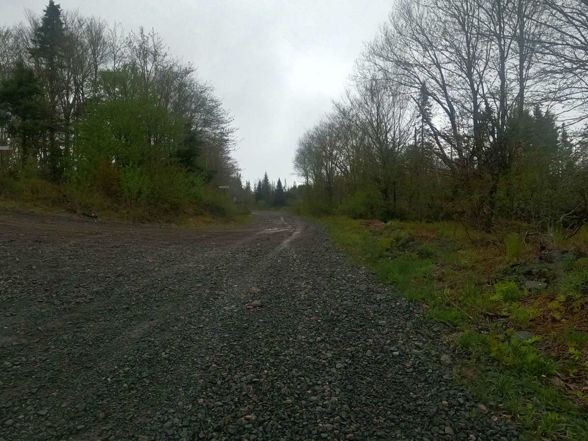 Upper Belmont Road photo 4