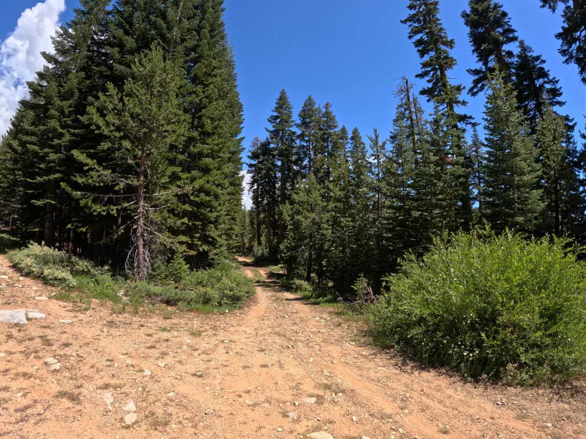 Church Creek - FS 28 photo 5