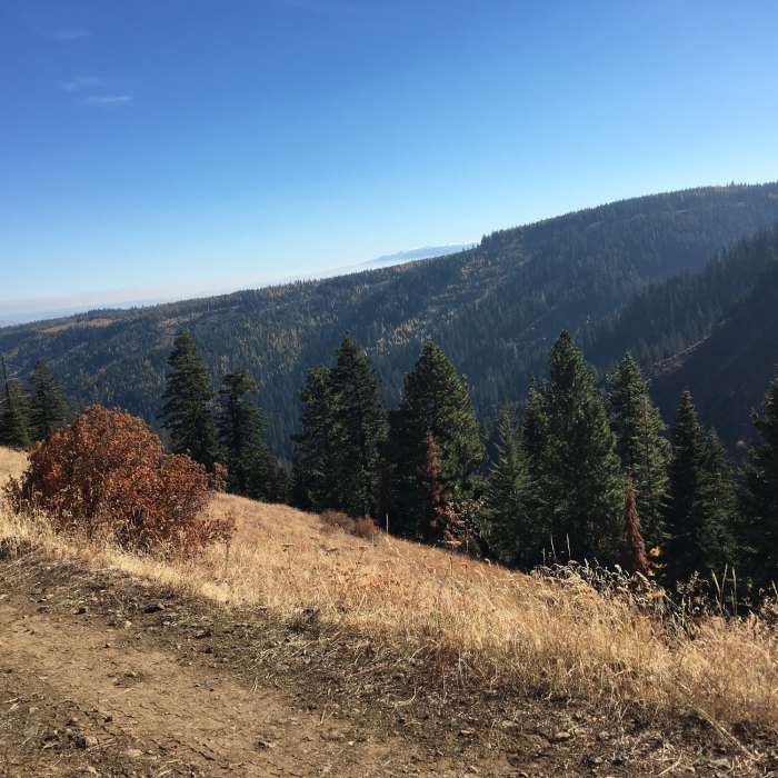 View from FS Road #3701 that parallels Eagle Ridge Trail. The Walowa Mountains (snow in October) visible in the distance, Eagle Creek canyon in the foreground. Near Eagle Ridge Trail #3232