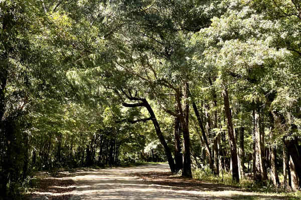 Lee Buck Road