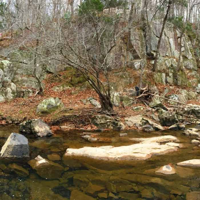Near Rhododendron Bluffs Trail