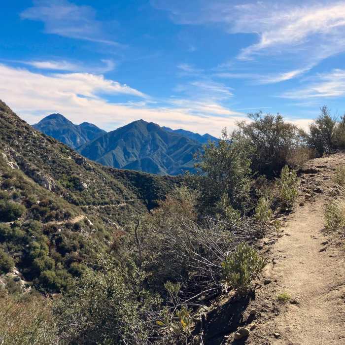 Near Mt. Gleason via Condor Peak Trail