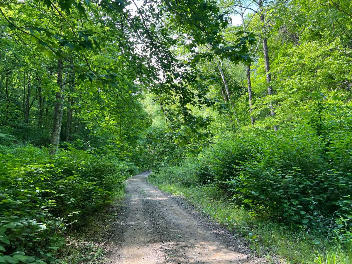 Bufflick Branch Trail - Q76 photo 5
