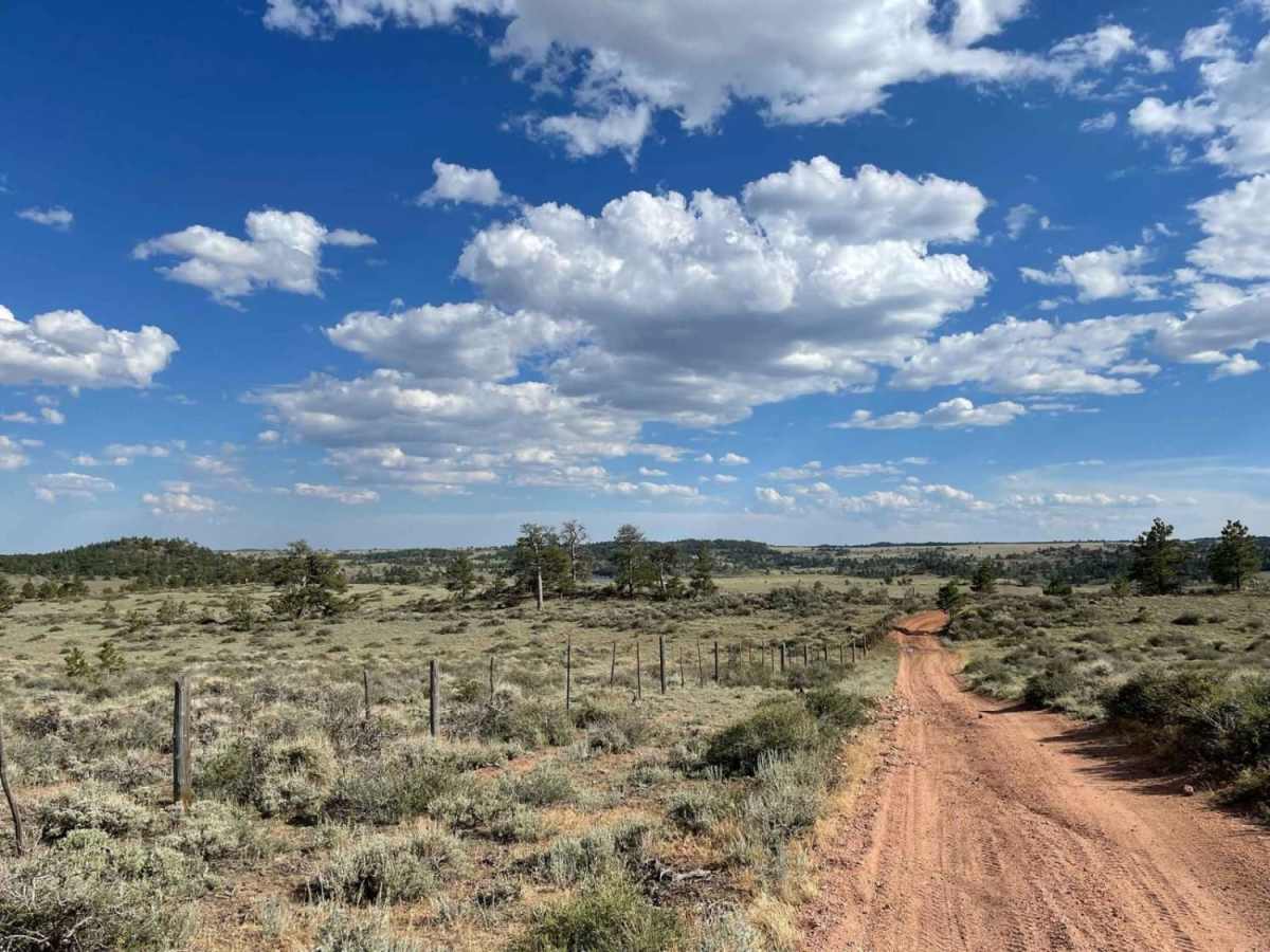 Crow Spring Road photo 5