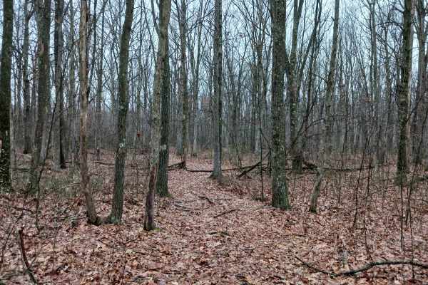 OHV 45 - Rock Run Recreation Area