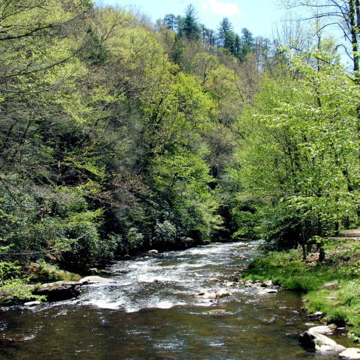 Deep Creek, NC Near Indian Creek to Deep Creek Loop