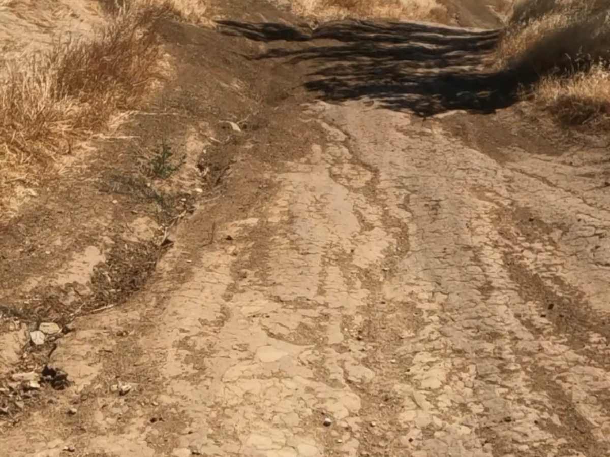 Carrol Climb photo 2
