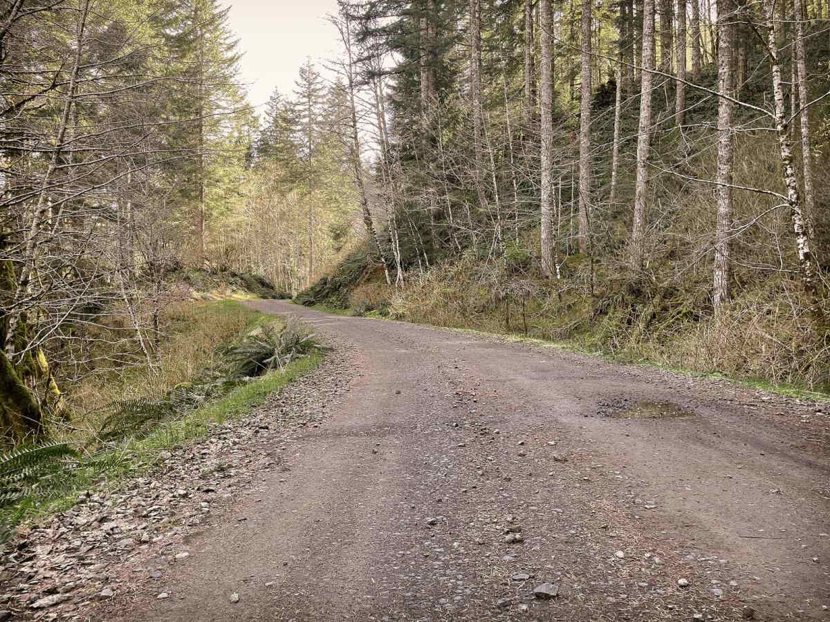 Boundary Road photo 3