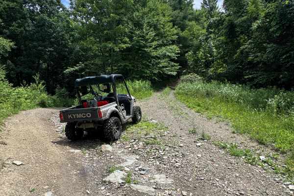 Trail 38