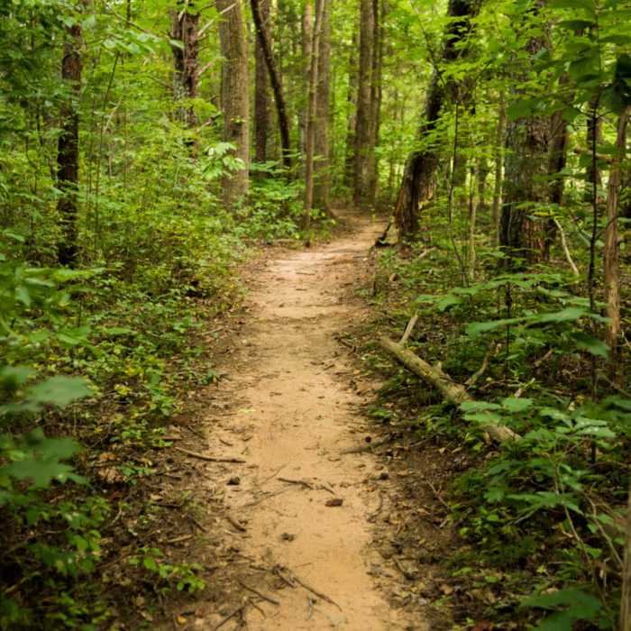 Near Bald Eagle Trail Near Bald Eagle Trail