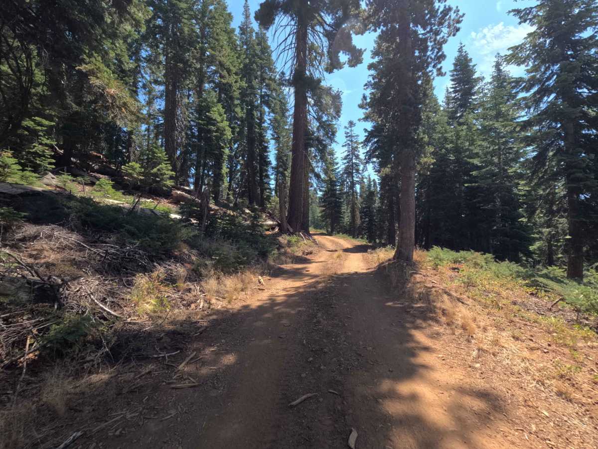 Big Creek Fire Road - South - FS 5S048 photo 4