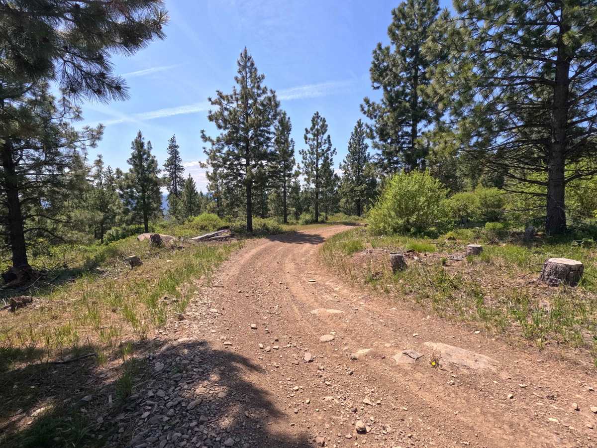 Mainline - Trail 201 photo 6