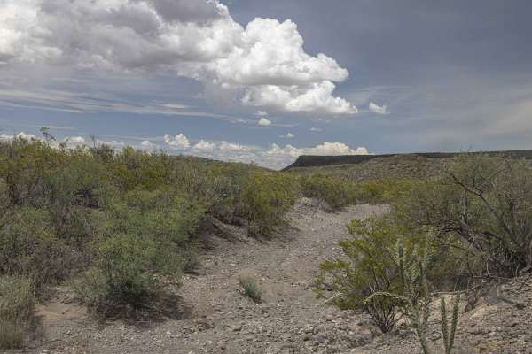 BBRSP Cerro Prietto Windmill Road