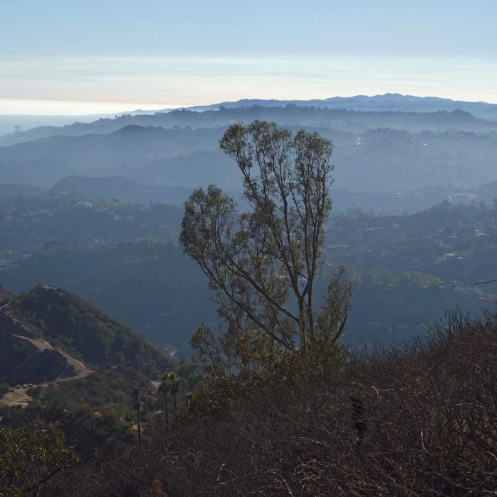 The Los Angeles Foothills get lost in the late-afternoon haze. Near Mt. Hollywood from Old Zoo