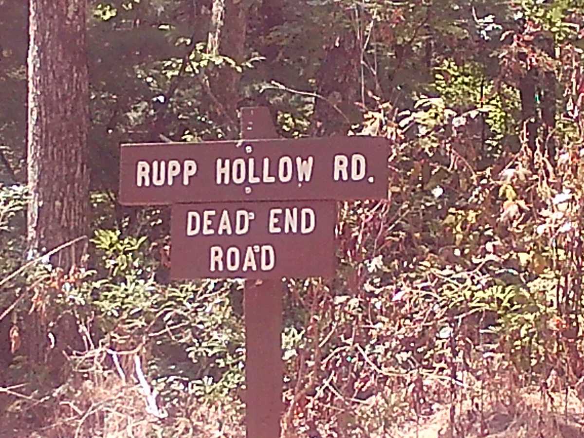 Rupp Hollow Road trail photo