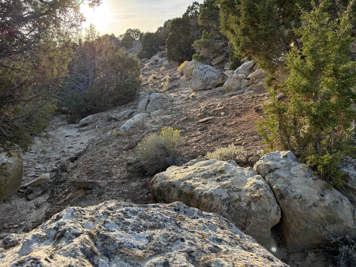 One Mile Trail photo 4