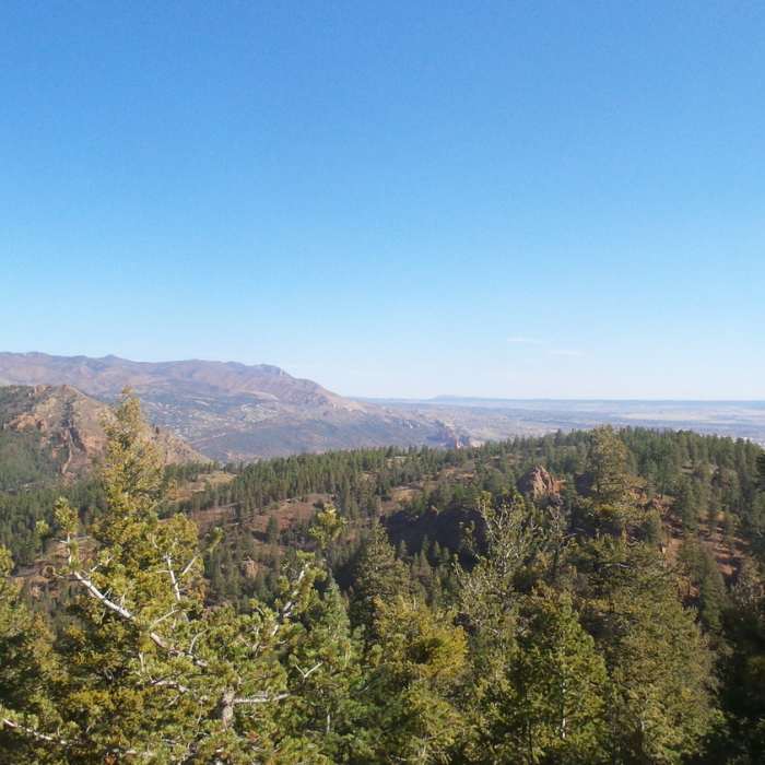 Near High Drive