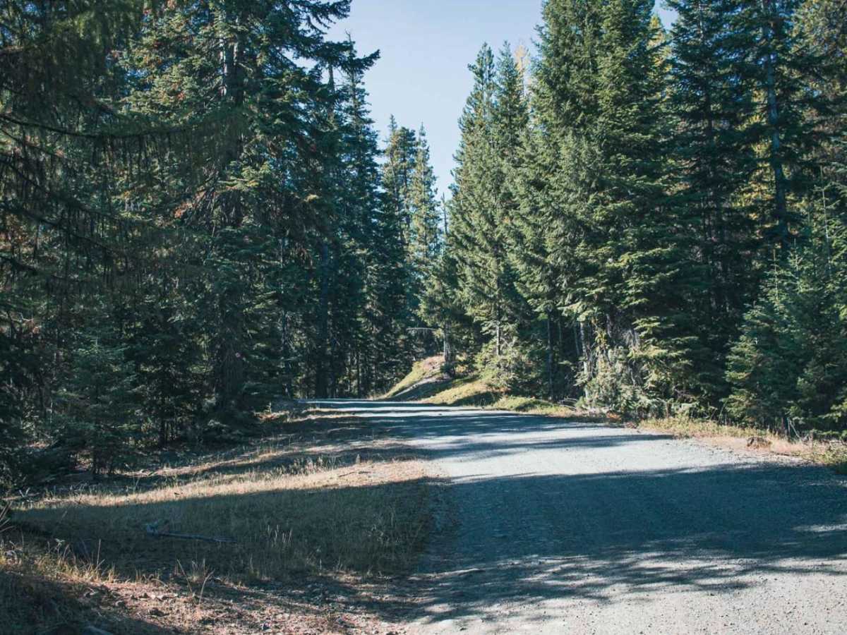 Bear Creek Mountain photo 3