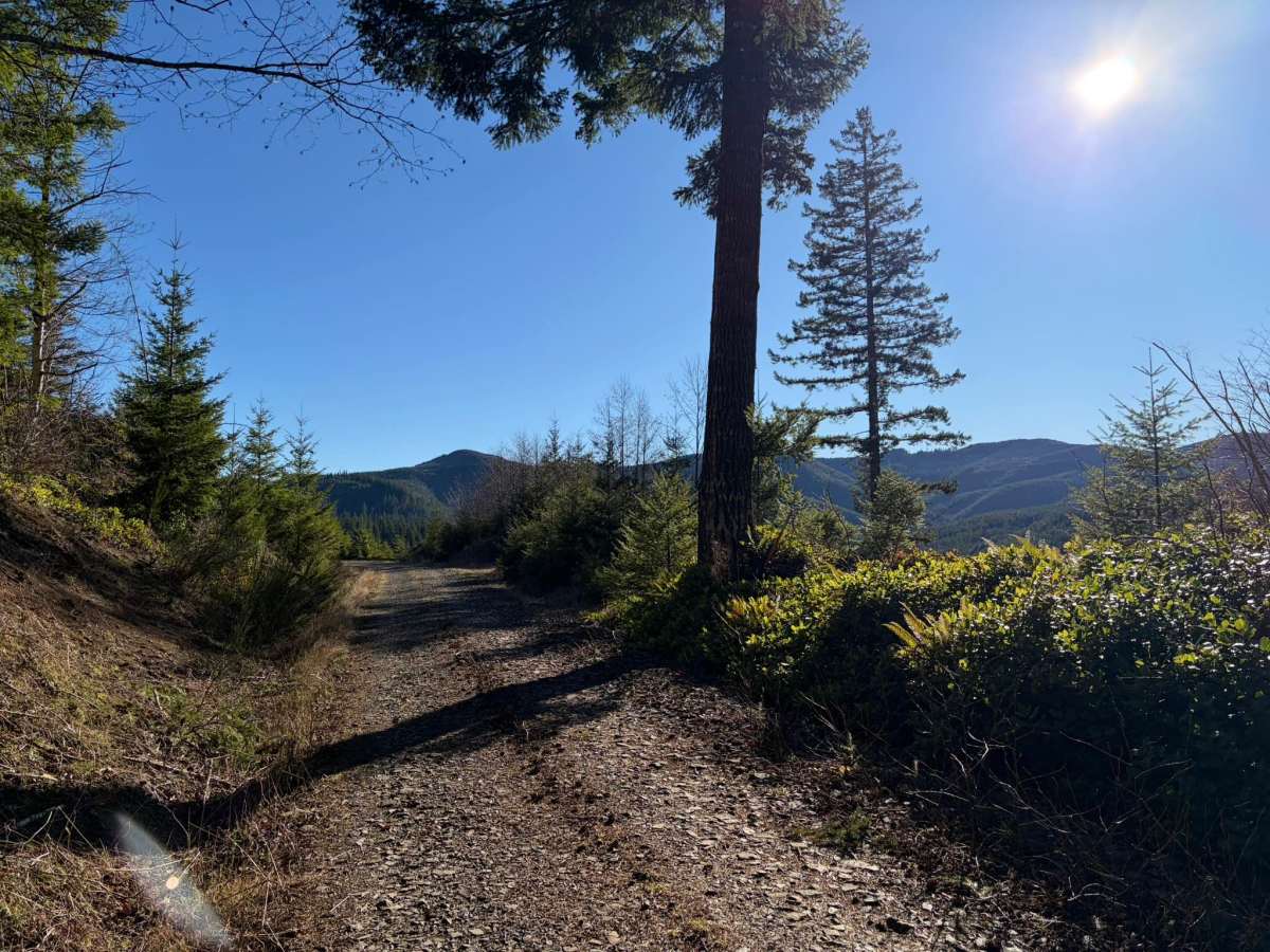 Wolf Creek Road photo 2