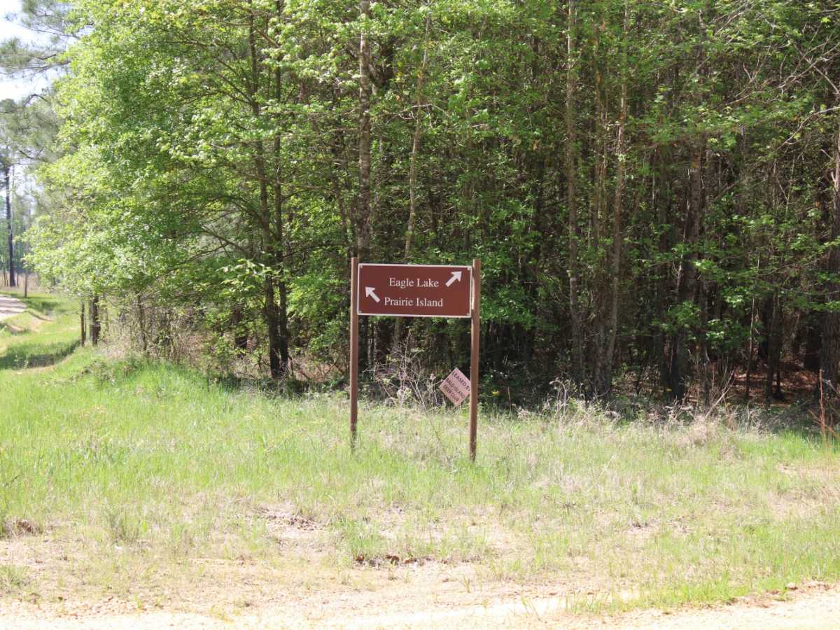 The Arkansas Overland Route - TrailHawk Loop - Section 16 photo 6