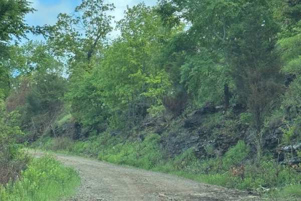 Pilot Rock Mountain Road