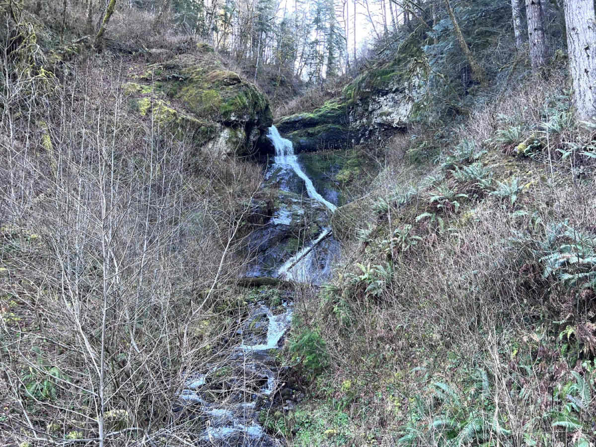 Lower Nehalem Road Beach Route photo 5