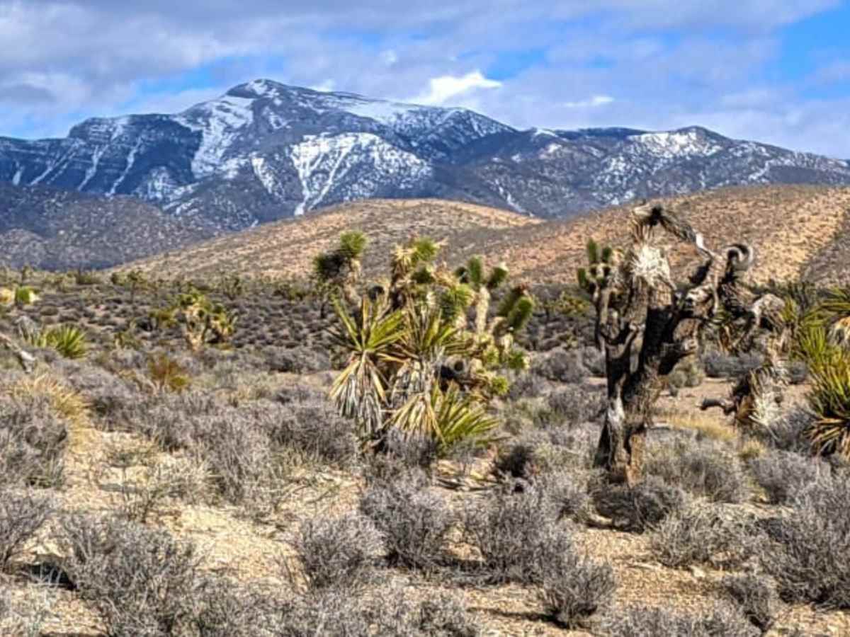 Horse Springs - Sand Wash Cut Across photo 2