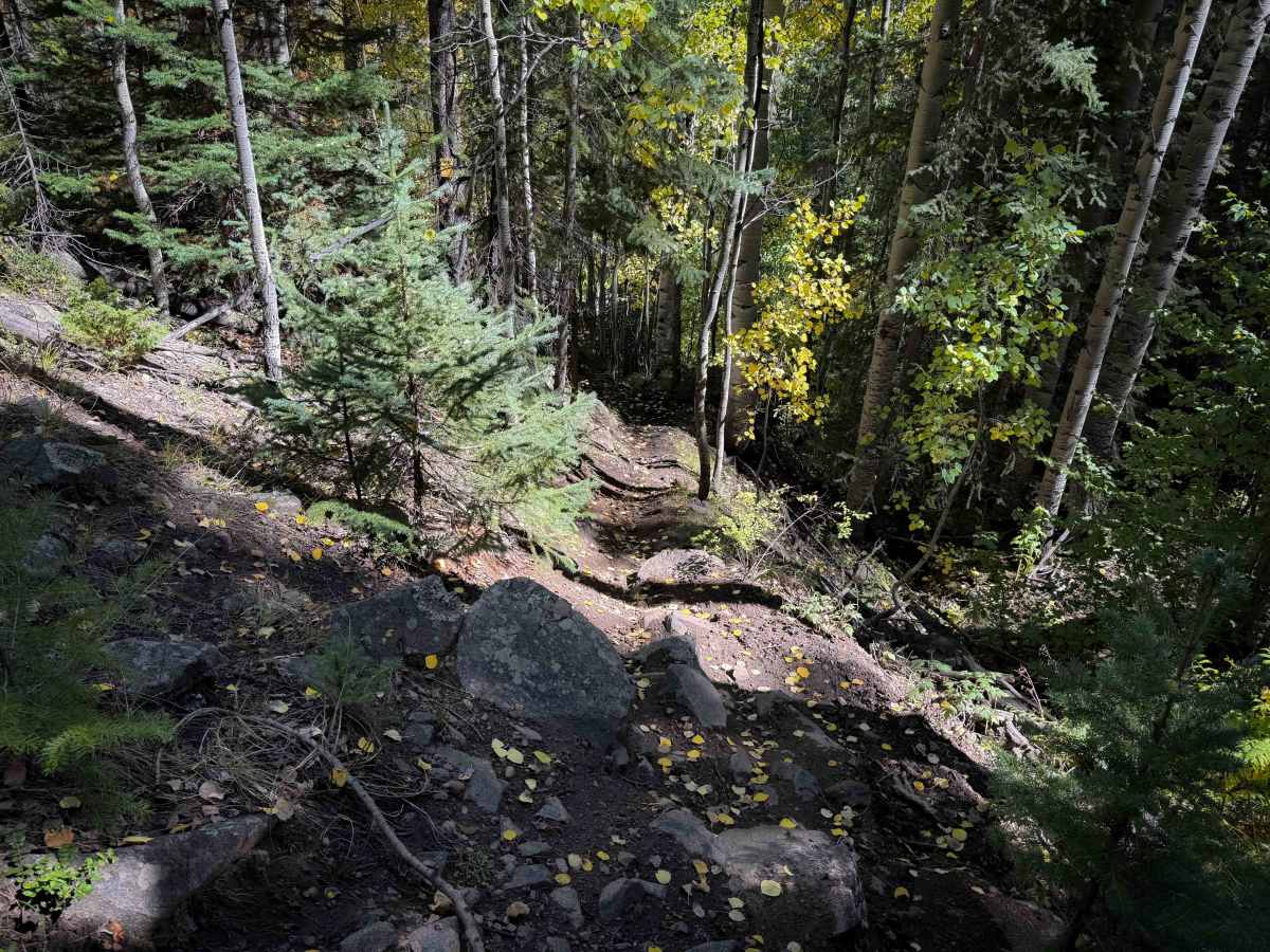 Bear Gulch Trail - FS 610  photo 2