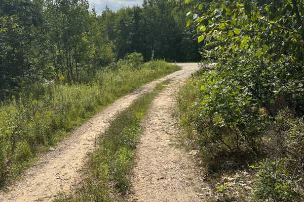 Cavanagh Spur