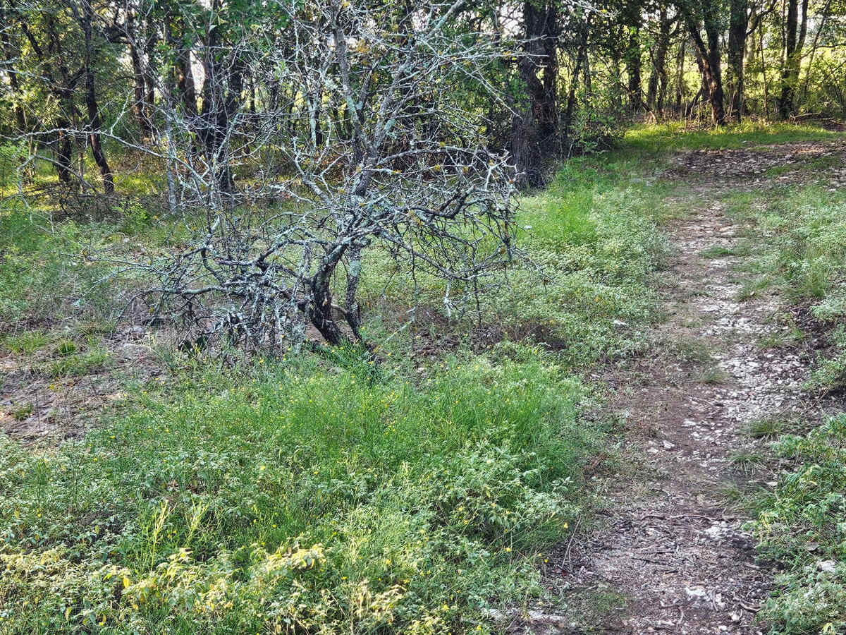 Sleepy Shortcut photo 3