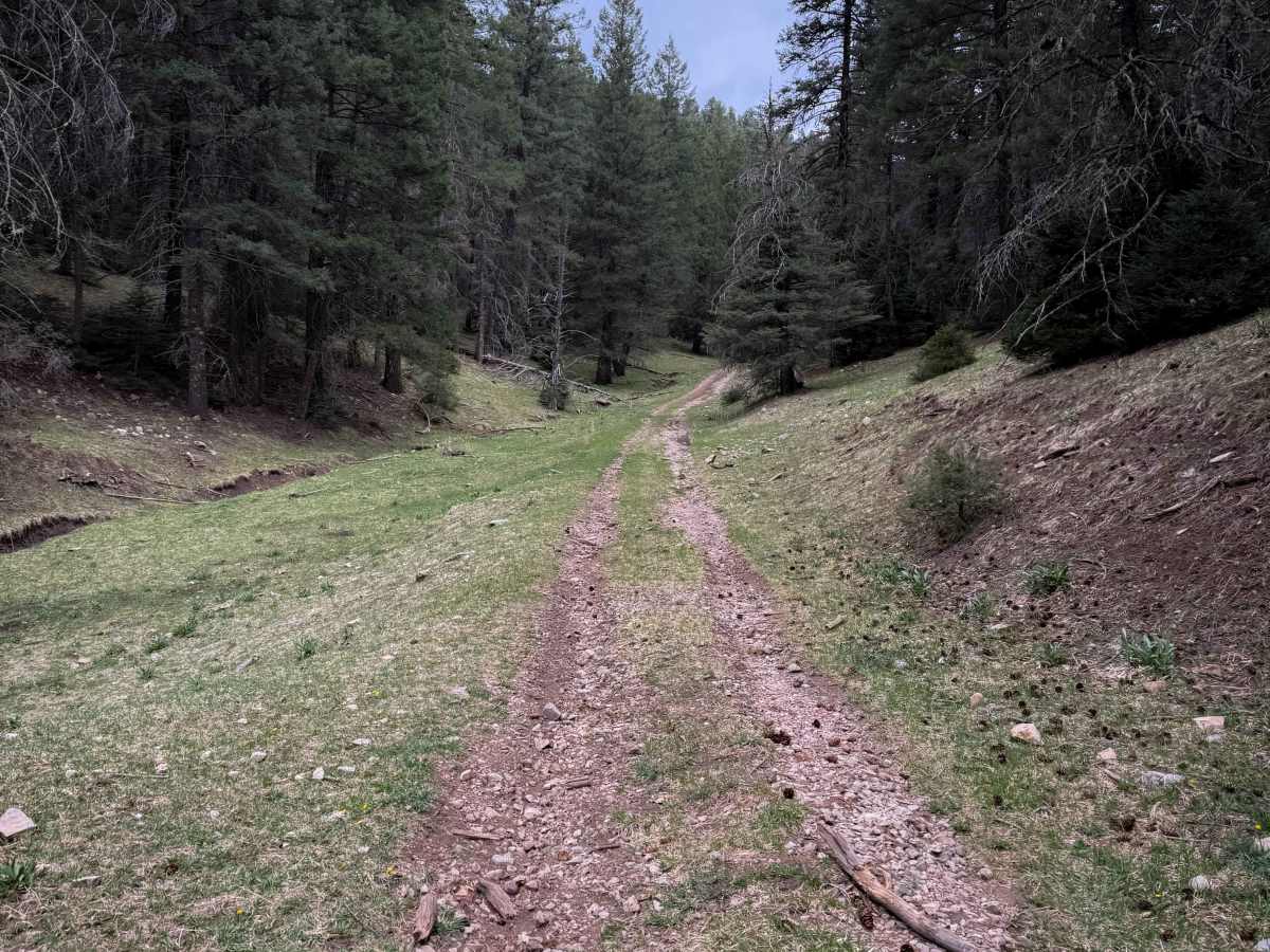 Schofield Canyon Trail - FS 5007A photo 3