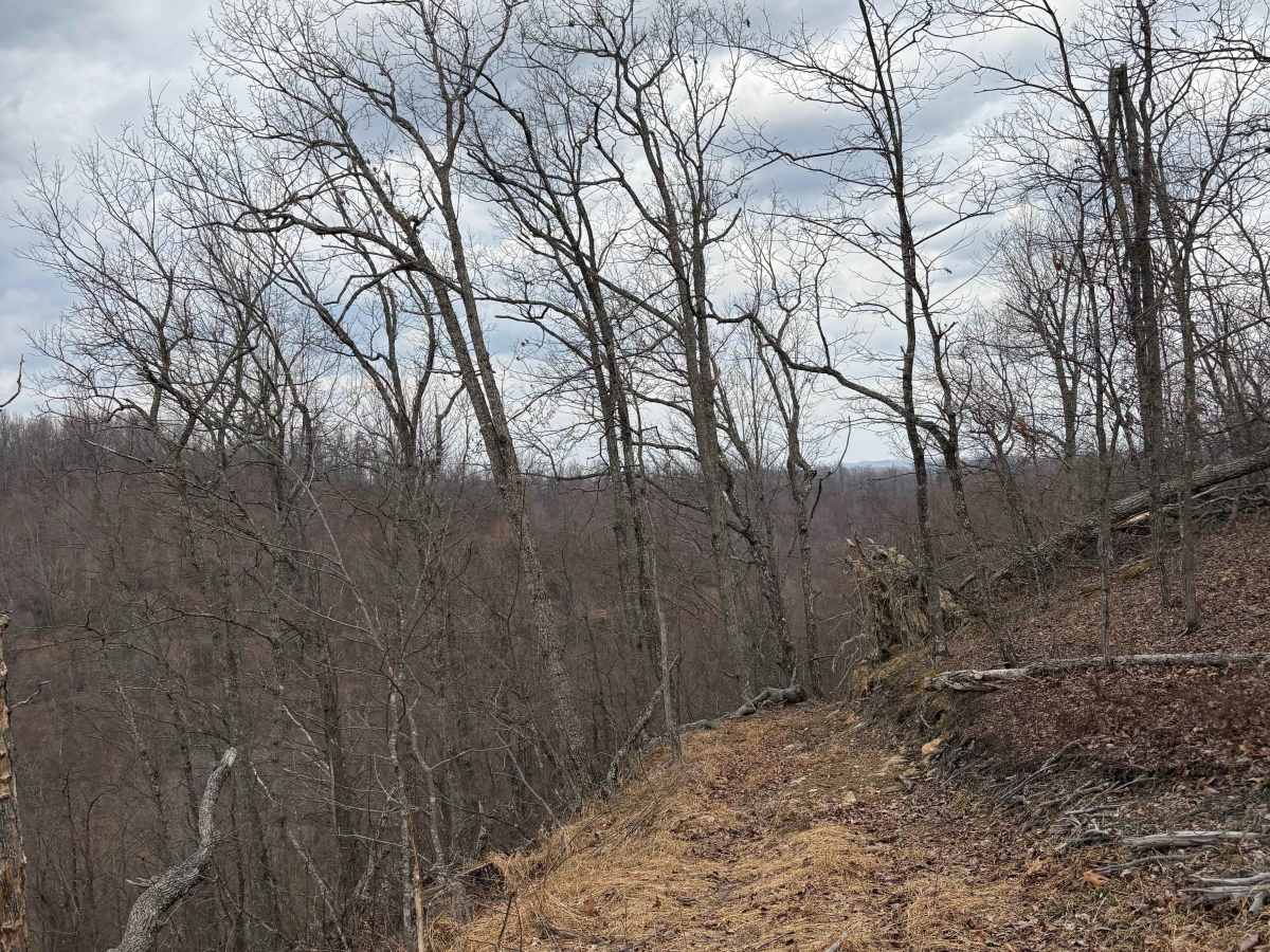 Trail 2 photo 3