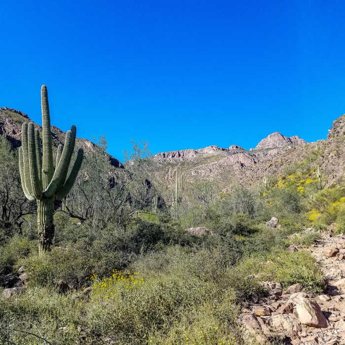 Near Hieroglyphic Trail