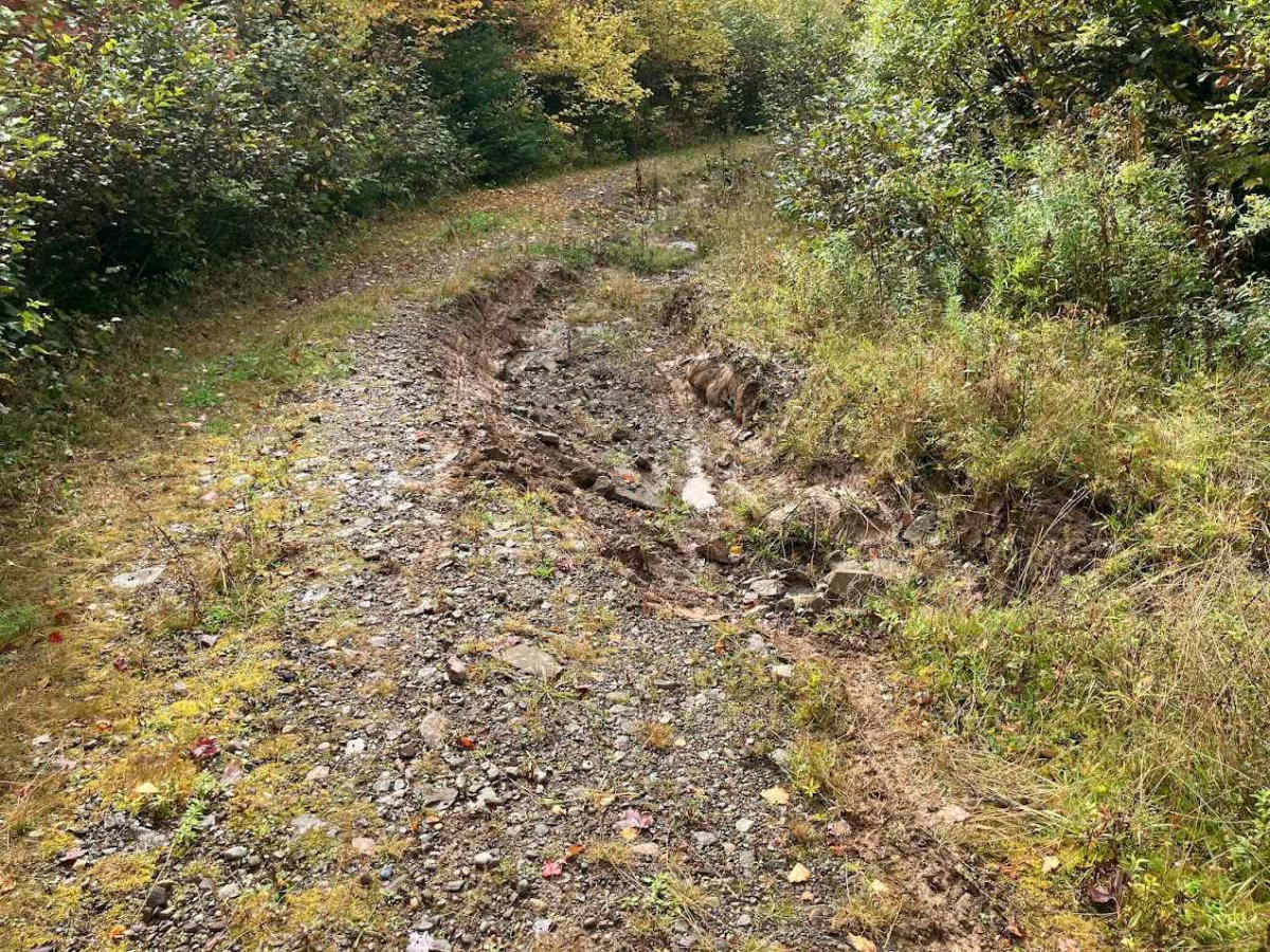 Macleod Road photo 5