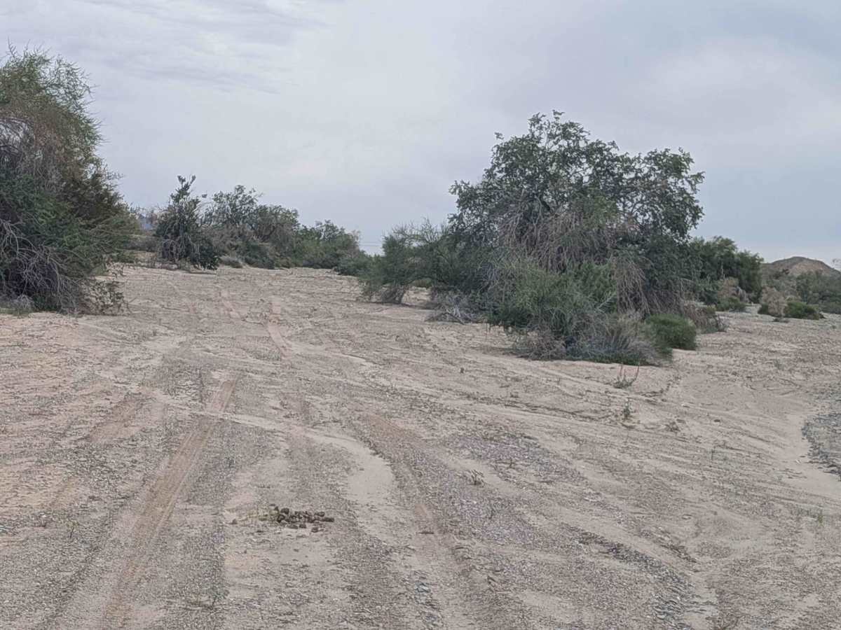 EC1229 photo 2