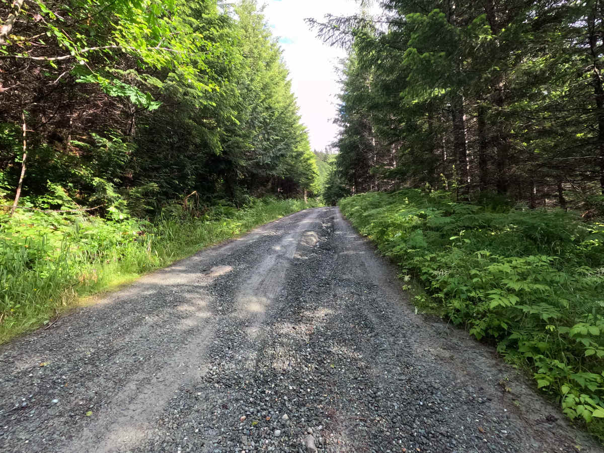 Lower Illabot Road - FS 16 photo 4