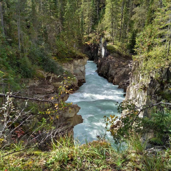 Near Thompson Falls Trail