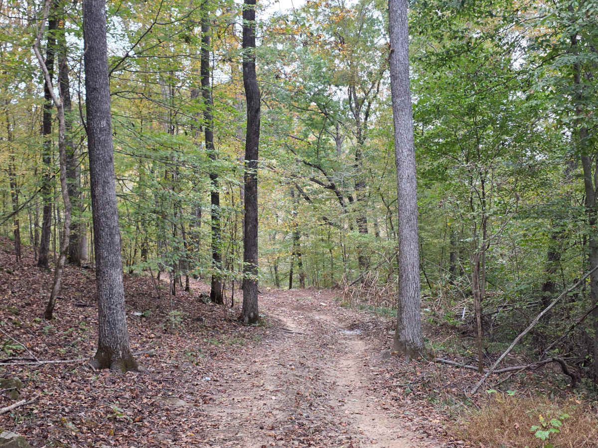 Pounder's Place photo 4