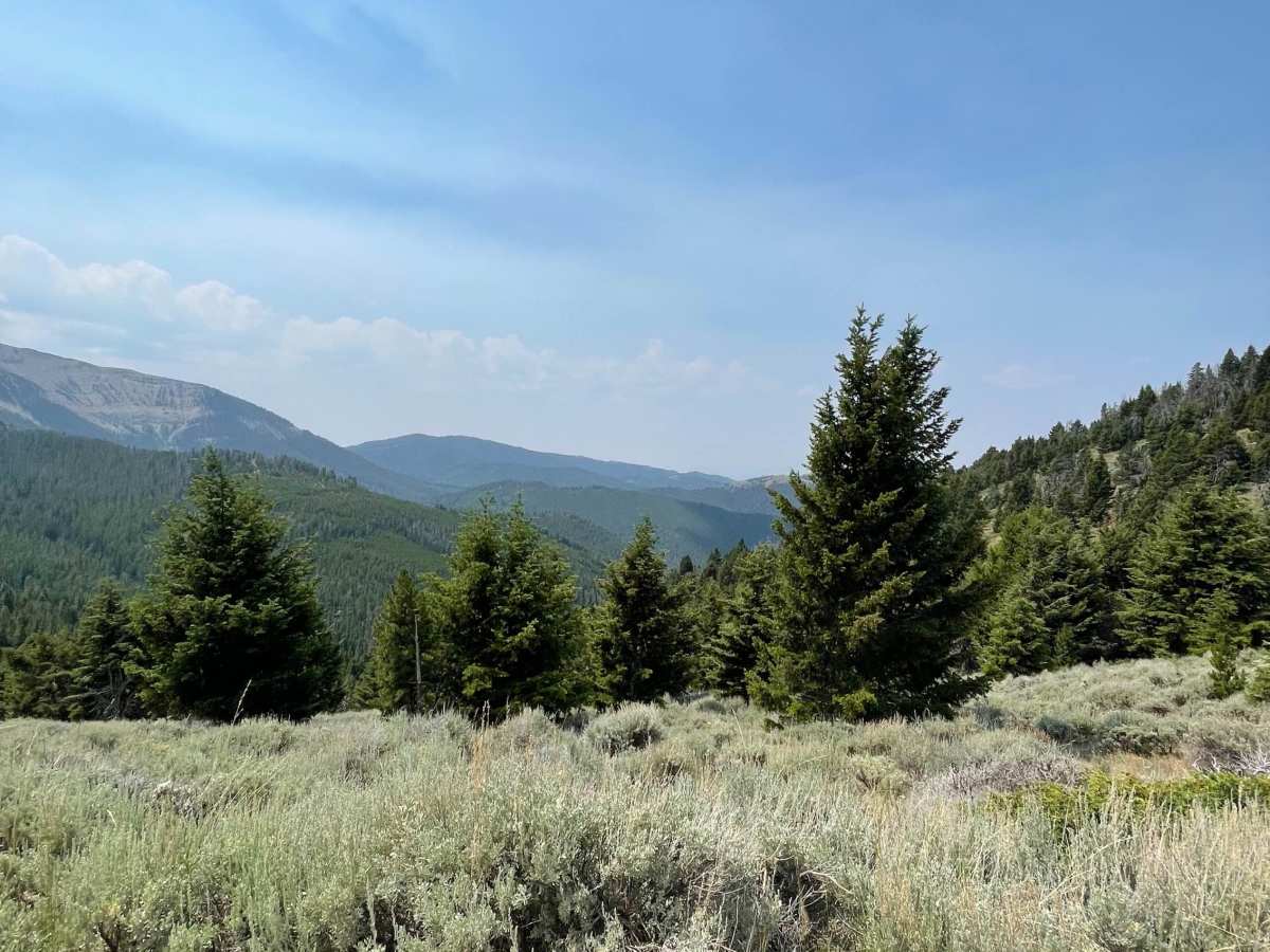 Barton Gulch and Offshoots photo 6