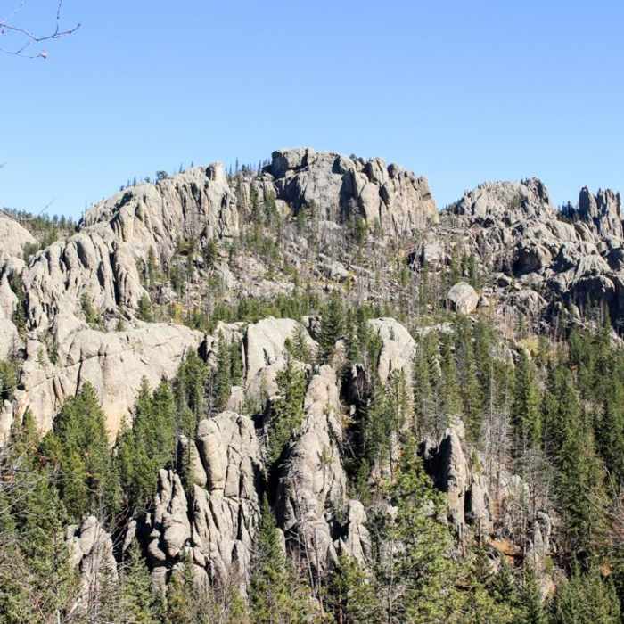 Near Black Elk Peak Near Black Elk Peak