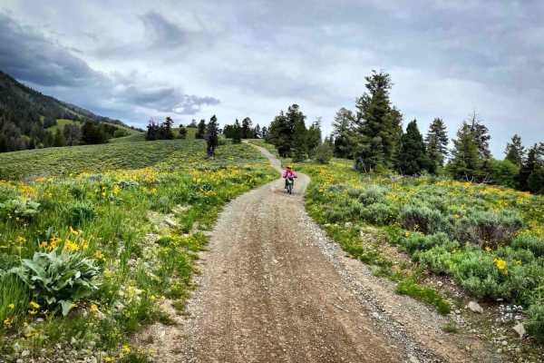 Pat Canyon -  286