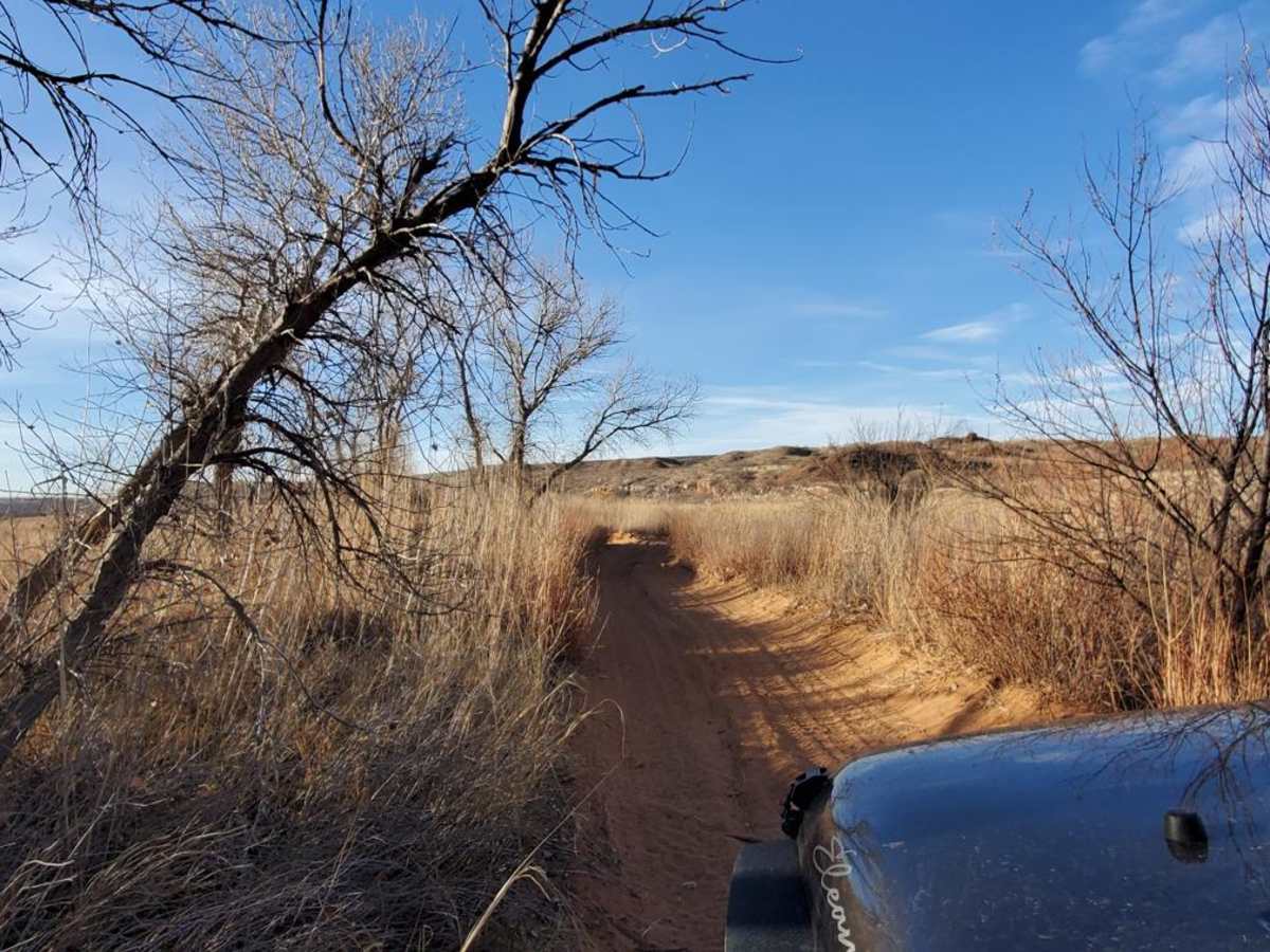 Hidden Campsite Trail photo 2