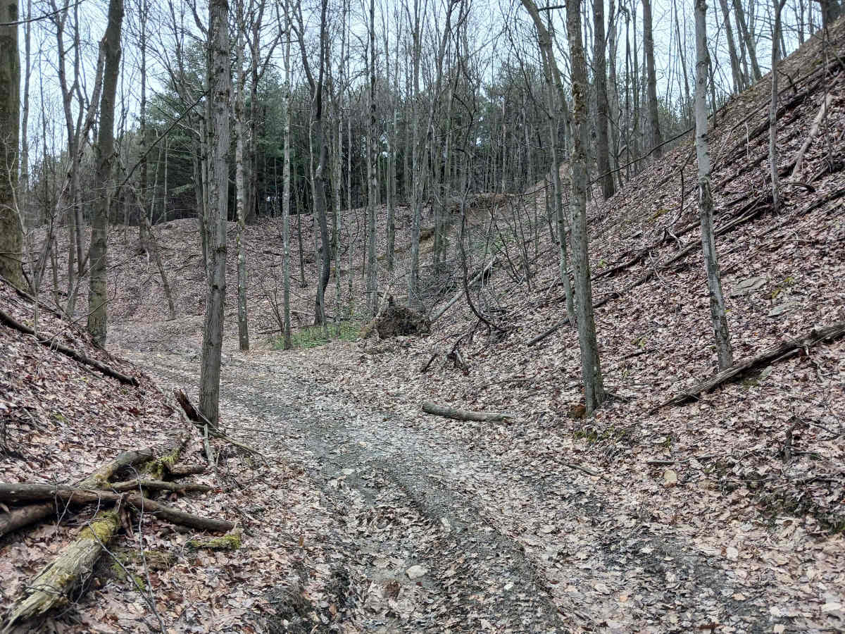 Trail 4D - Rock Run Recreation Area photo 6
