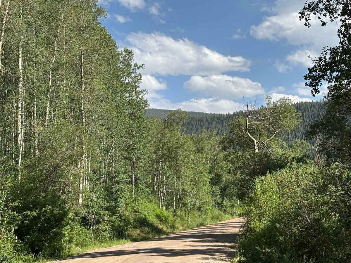 East Brush Creek Road photo 5