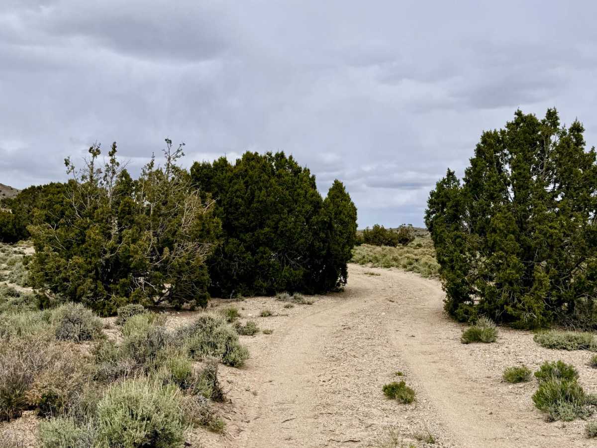 Parrotte Springs Trail - FS 44505 photo 4