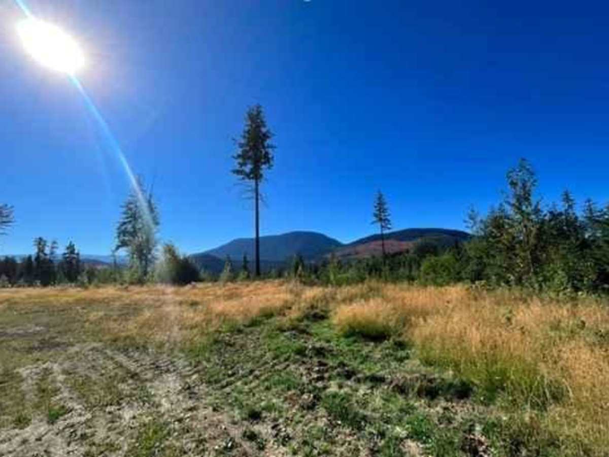 South Barriere Lake Road photo 5