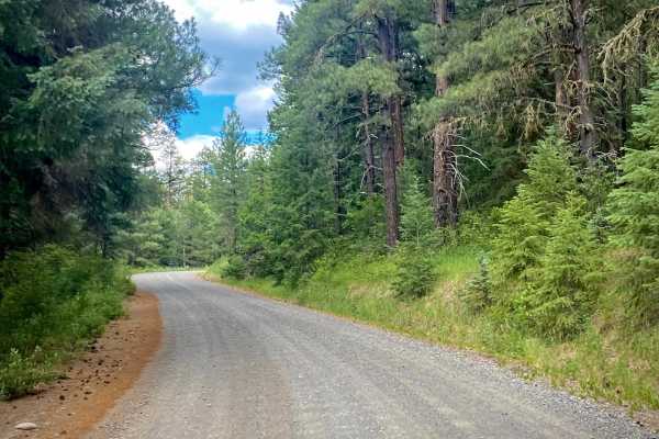 Blanco River Road-Fr Rd 656