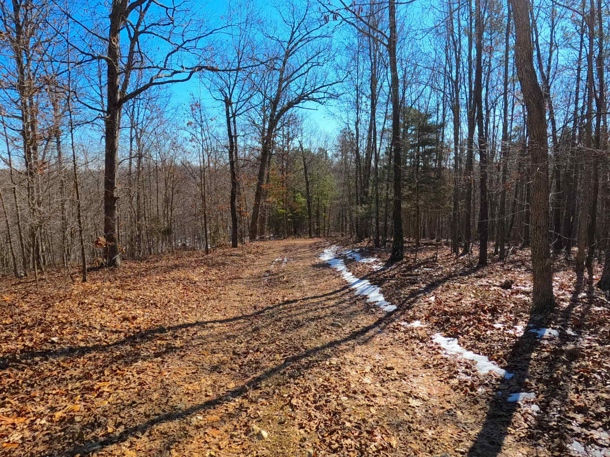 Bear Tick Ridge - FS 2459 photo 6