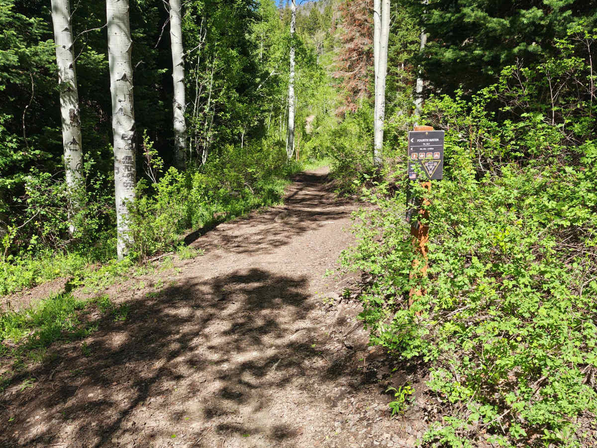 Center GWT 009 - Strawberry Reservoir - Single Track photo 3
